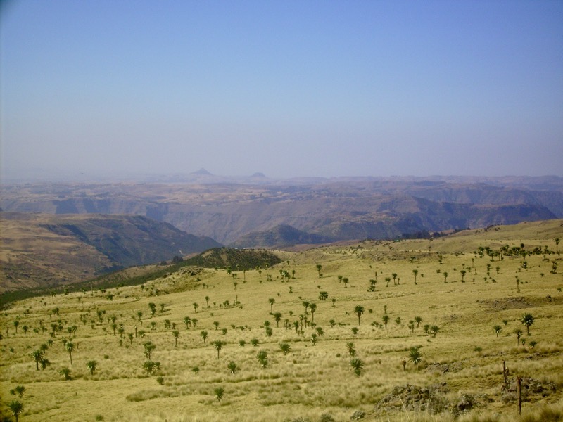 Ethiopia  0880